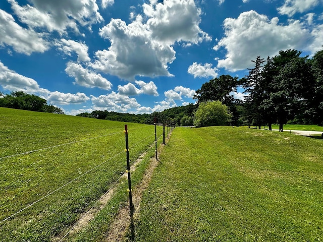46040 County 29, Mabel, MN 55954 - photo 21