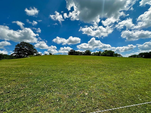 46040 County 29, Mabel, MN 55954 - photo 23