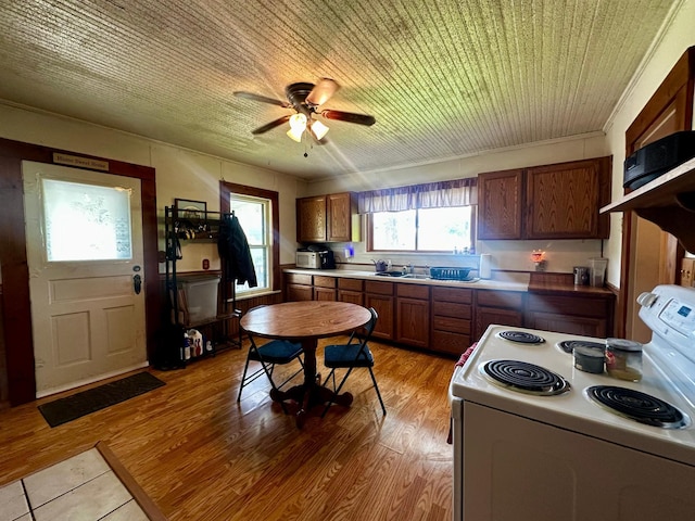 46040 County 29, Mabel, MN 55954 - photo 31