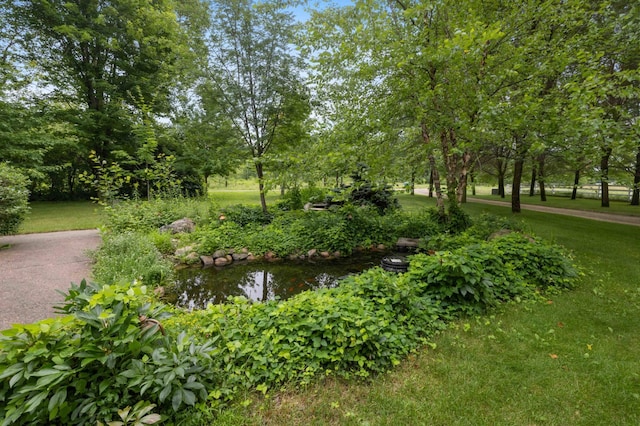 12639 65th Ave SW, May Twp, MN 56466 - view of community featuring a yard