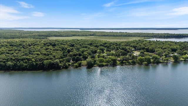 10199 Sugar Point Dr NW, Federal Dam, MN 56641 - photo 4