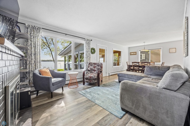 44042 Outlet Beach Rd, Lida Twp, MN 56572 - living area with wood finished floors, a baseboard heating unit, and a water view