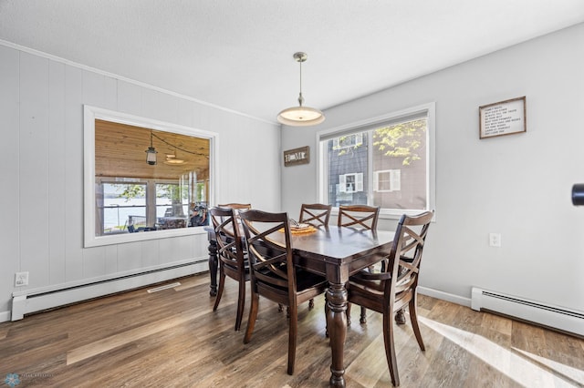 44042 Outlet Beach Rd, Lida Twp, MN 56572 - dining space featuring a baseboard radiator, plenty of natural light, wood finished floors, and ornamental molding