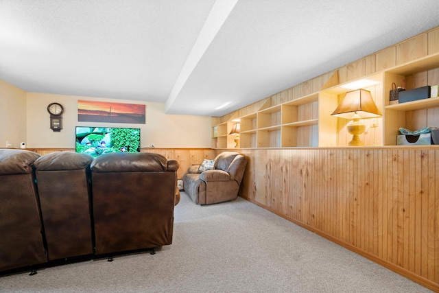 10919 Eagle St NW, Coon Rapids, MN 55433 - carpeted living room with wood walls and wainscoting