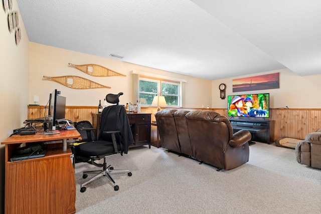 10919 Eagle St NW, Coon Rapids, MN 55433 - office area featuring wood walls, carpet, and a wainscoted wall