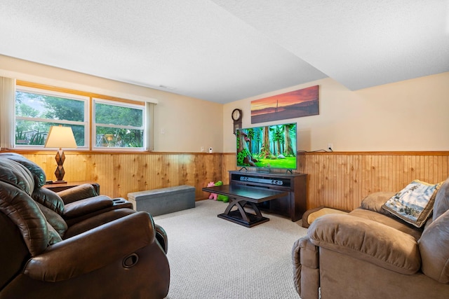 10919 Eagle St NW, Coon Rapids, MN 55433 - living room featuring wainscoting, wood walls, and carpet flooring