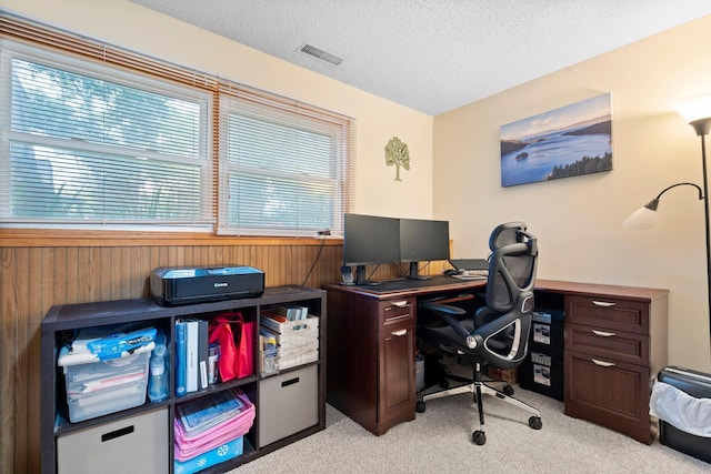 10919 Eagle St NW, Coon Rapids, MN 55433 - office with light carpet, a textured ceiling, and wooden walls