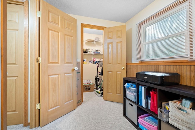 10919 Eagle St NW, Coon Rapids, MN 55433 - game room with light carpet