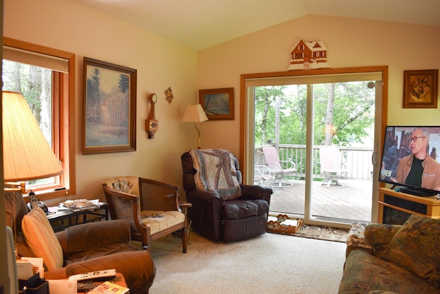 4629 Reardon Ave NW, South Haven, MN 55382 - photo 27