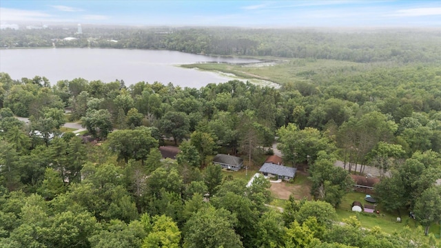 2614 Mckinney Lake Rd, Grand Rapids, MN 55744 - photo 6