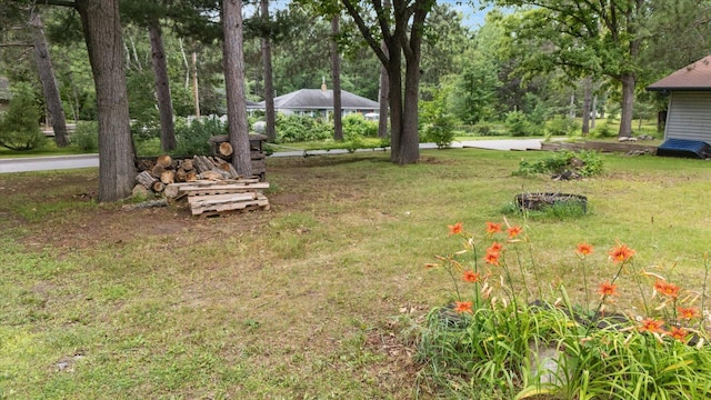 2614 Mckinney Lake Rd, Grand Rapids, MN 55744 - photo 10