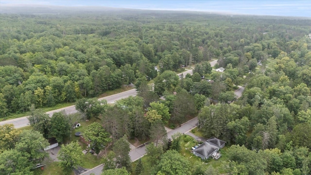2614 Mckinney Lake Rd, Grand Rapids, MN 55744 - photo 40