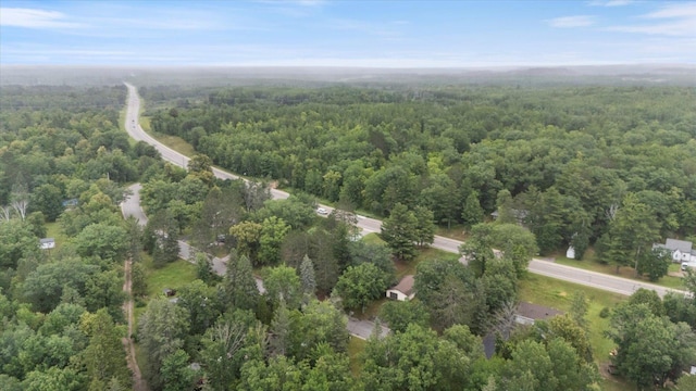2614 Mckinney Lake Rd, Grand Rapids, MN 55744 - photo 41