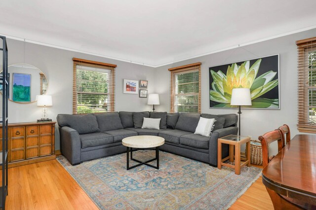 2173 Scheffer Ave, Saint Paul, MN 55116 - photo 4