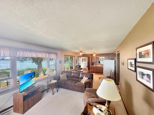 50 Shady Rest Rd, Lake Sarah Twp, MN 56132 - living room with a textured ceiling, light carpet, and a ceiling fan