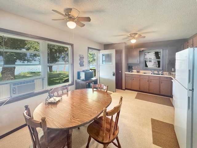 50 Shady Rest Rd, Lake Sarah Twp, MN 56132 - dining space featuring a ceiling fan, a textured ceiling, and light colored carpet