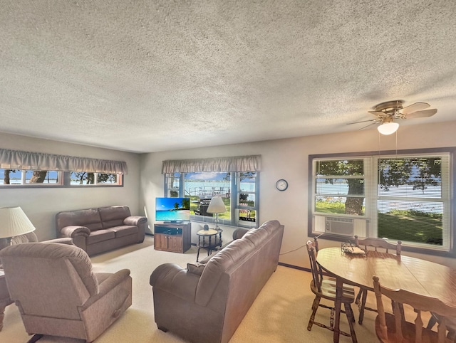 50 Shady Rest Rd, Lake Sarah Twp, MN 56132 - carpeted living area featuring a textured ceiling, healthy amount of natural light, and a ceiling fan