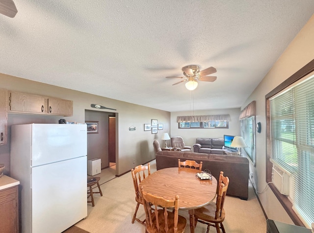 50 Shady Rest Rd, Lake Sarah Twp, MN 56132 - dining room featuring a ceiling fan, light carpet, and a textured ceiling