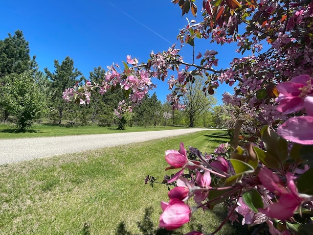 12822 Stais Country Ct NW, Liberty Twp, MN 56601 - photo 86