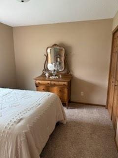 2578 Cherry Lane Ct NE, Alexandria, MN 56308 - photo 17