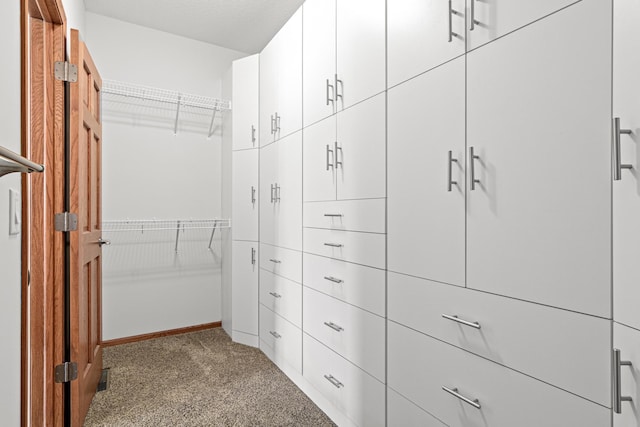 12605 314th St, Lindstrom, MN 55045 - walk in closet with carpet floors
