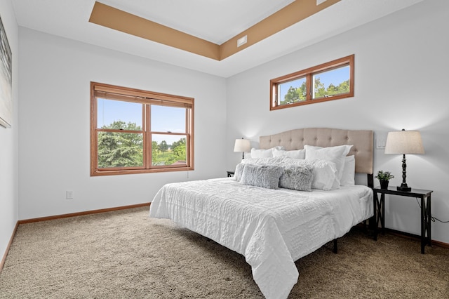 12605 314th St, Lindstrom, MN 55045 - bedroom featuring carpet flooring, multiple windows, and a raised ceiling
