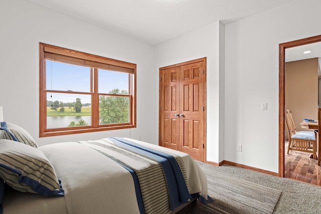 12605 314th St, Lindstrom, MN 55045 - carpeted bedroom with baseboards and a closet