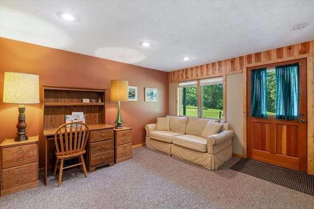 1063 Fernberg Rd, Fall Lake Twp, MN 55731 - office space featuring a textured ceiling, light carpet, and recessed lighting