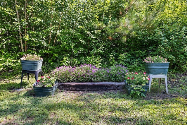 1063 Fernberg Rd, Fall Lake Twp, MN 55731 - view of yard