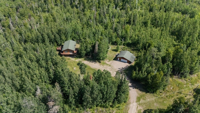 1063 Fernberg Rd, Fall Lake Twp, MN 55731 - view of property location featuring a forest