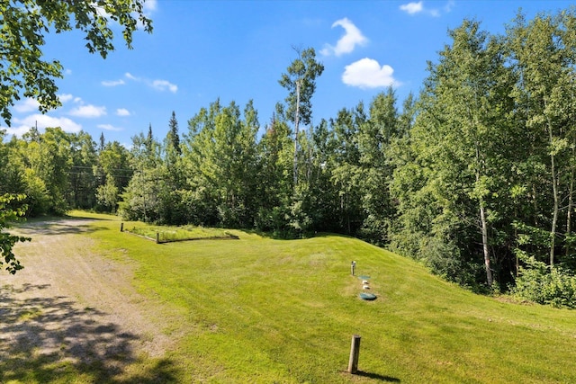 1063 Fernberg Rd, Fall Lake Twp, MN 55731 - view of grassy yard with a forest view