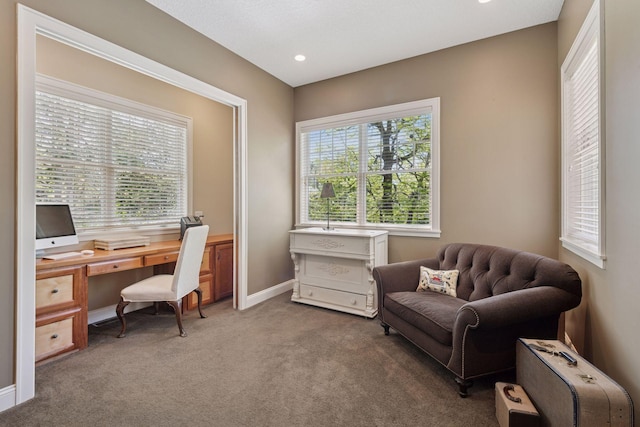 17244 Valley Rd, Eden Prairie, MN 55347 - office featuring carpet flooring and baseboards
