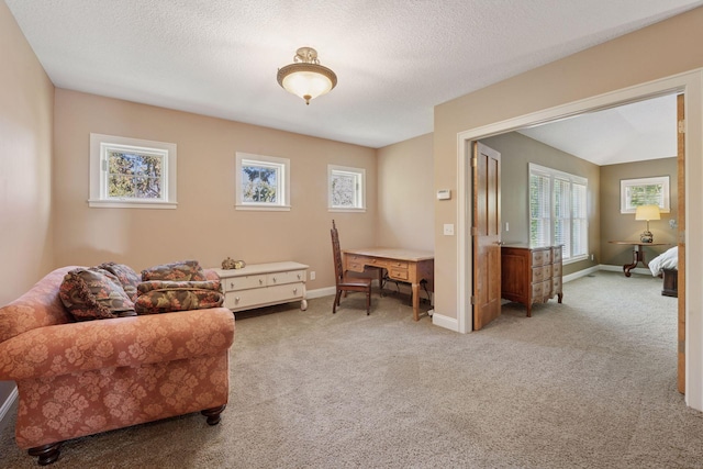 17244 Valley Rd, Eden Prairie, MN 55347 - living area with carpet and a textured ceiling