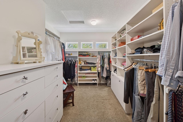17244 Valley Rd, Eden Prairie, MN 55347 - walk in closet featuring carpet and attic access