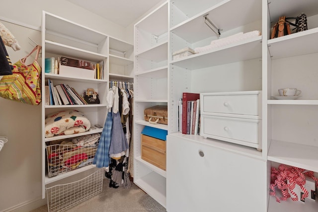 17244 Valley Rd, Eden Prairie, MN 55347 - view of spacious closet