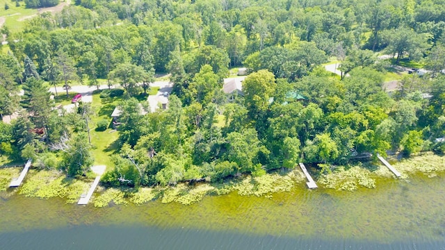 22387 Gooseberry Trl, Long Prairie Twp, MN 56347 - photo 39