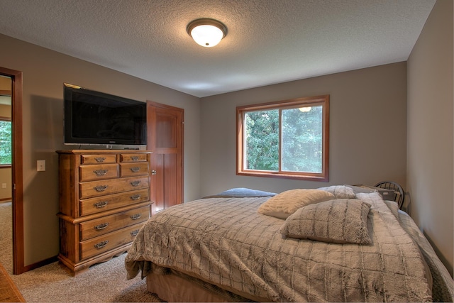 29717 Variolite St NW, Princeton, MN 55371 - photo 9
