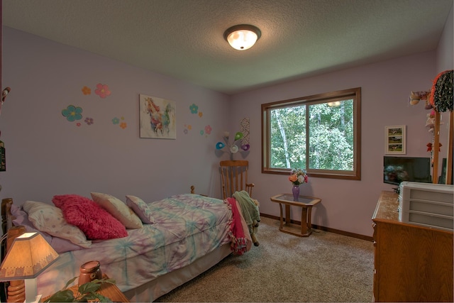29717 Variolite St NW, Princeton, MN 55371 - photo 12