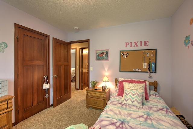 29717 Variolite St NW, Princeton, MN 55371 - photo 13