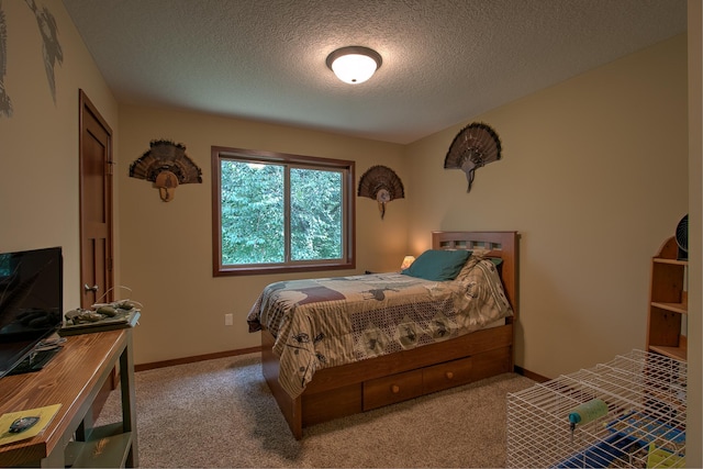 29717 Variolite St NW, Princeton, MN 55371 - photo 14