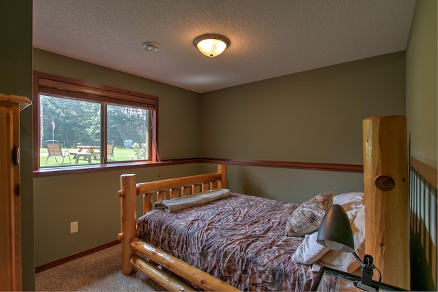 29717 Variolite St NW, Princeton, MN 55371 - photo 18