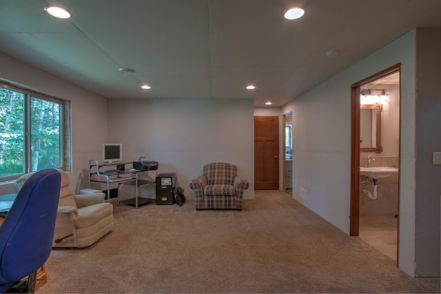 29717 Variolite St NW, Princeton, MN 55371 - photo 21