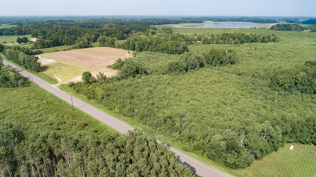 29717 Variolite St NW, Princeton, MN 55371 - photo 34