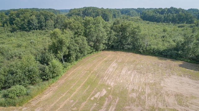 29717 Variolite St NW, Princeton, MN 55371 - photo 40