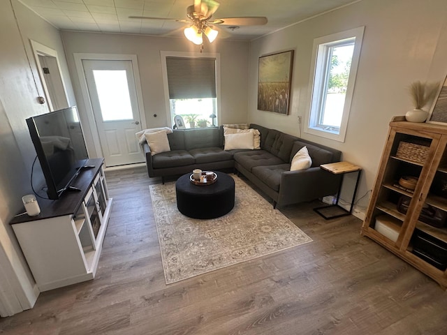 502 1st Ave SW, Baudette, MN 56623 - living room featuring plenty of natural light, ceiling fan, wood finished floors, and ornamental molding