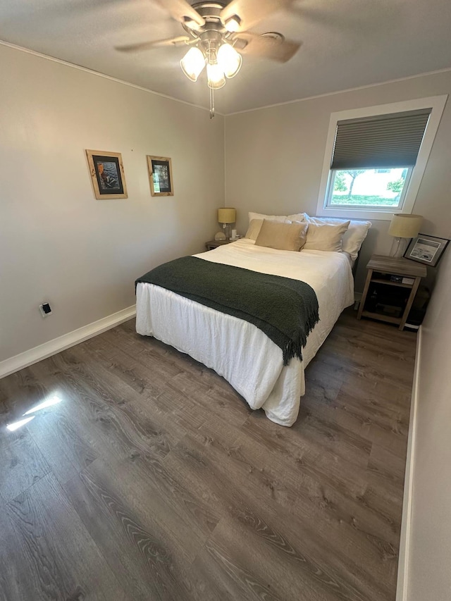 502 1st Ave SW, Baudette, MN 56623 - bedroom featuring dark wood-style flooring and a ceiling fan