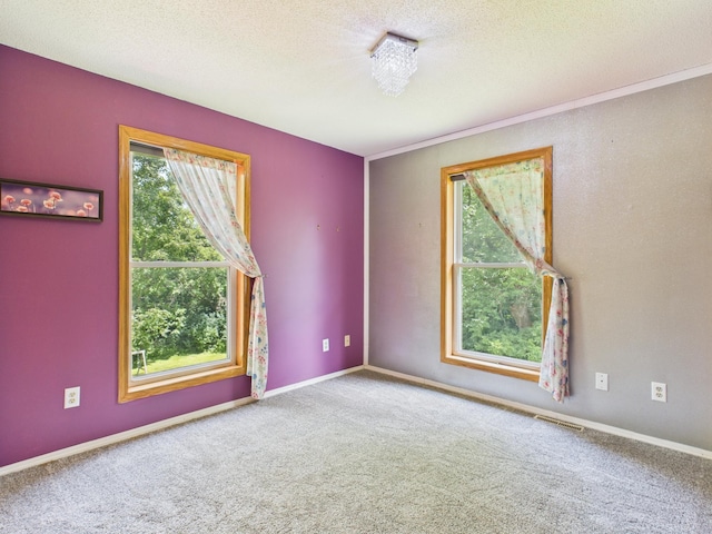 43857 Gates Ave, Harris, MN 55032 - photo 12