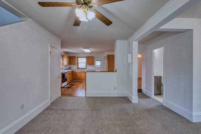 3026 5th Ave E, Hibbing, MN 55746 - unfurnished living room featuring carpet, ceiling fan, and a textured ceiling