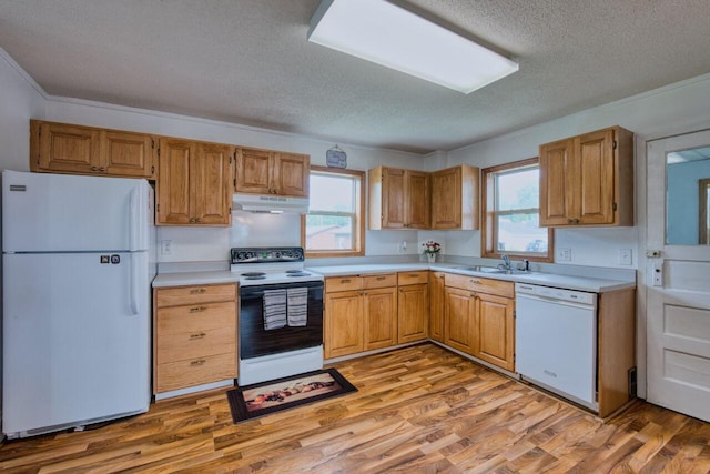 3026 5th Ave E, Hibbing, MN 55746 - kitchen with white appliances, under cabinet range hood, a textured ceiling, light countertops, and plenty of natural light
