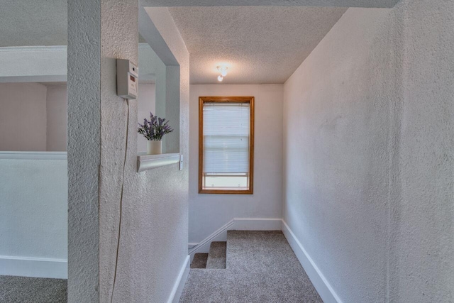 3026 5th Ave E, Hibbing, MN 55746 - corridor featuring carpet floors, a textured wall, and a textured ceiling